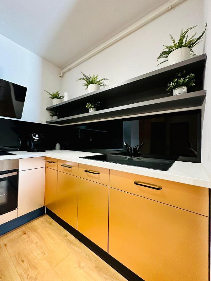 Kharisma Apartment-Free Parking-Ultracentral 克卢日-纳波卡 外观 照片